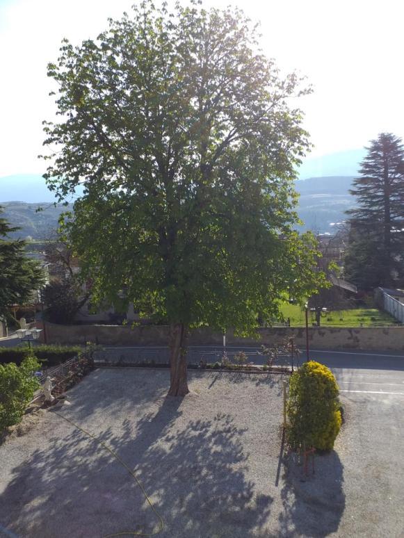 Hotel Villa Mayr Rooms & Suites Brixen Buitenkant foto